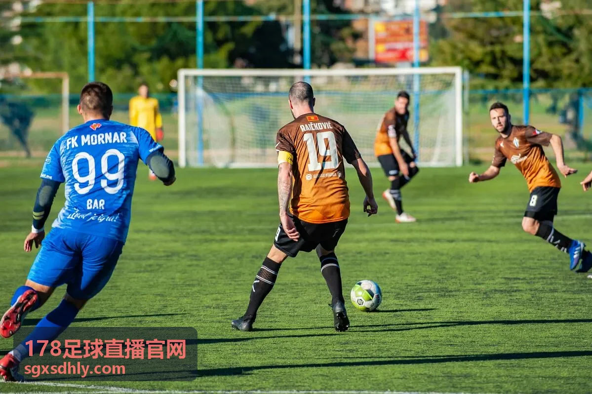 178足球直播官网 球队